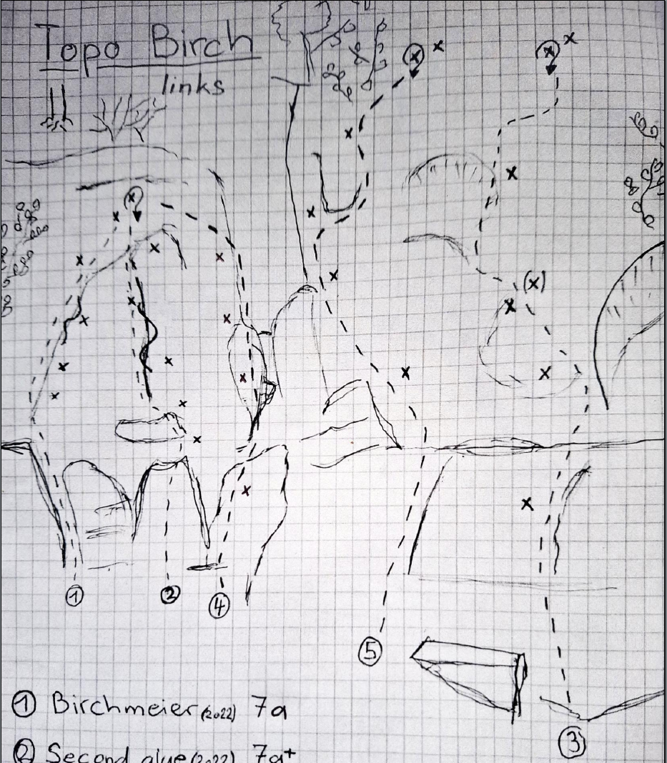 Birch Links Image