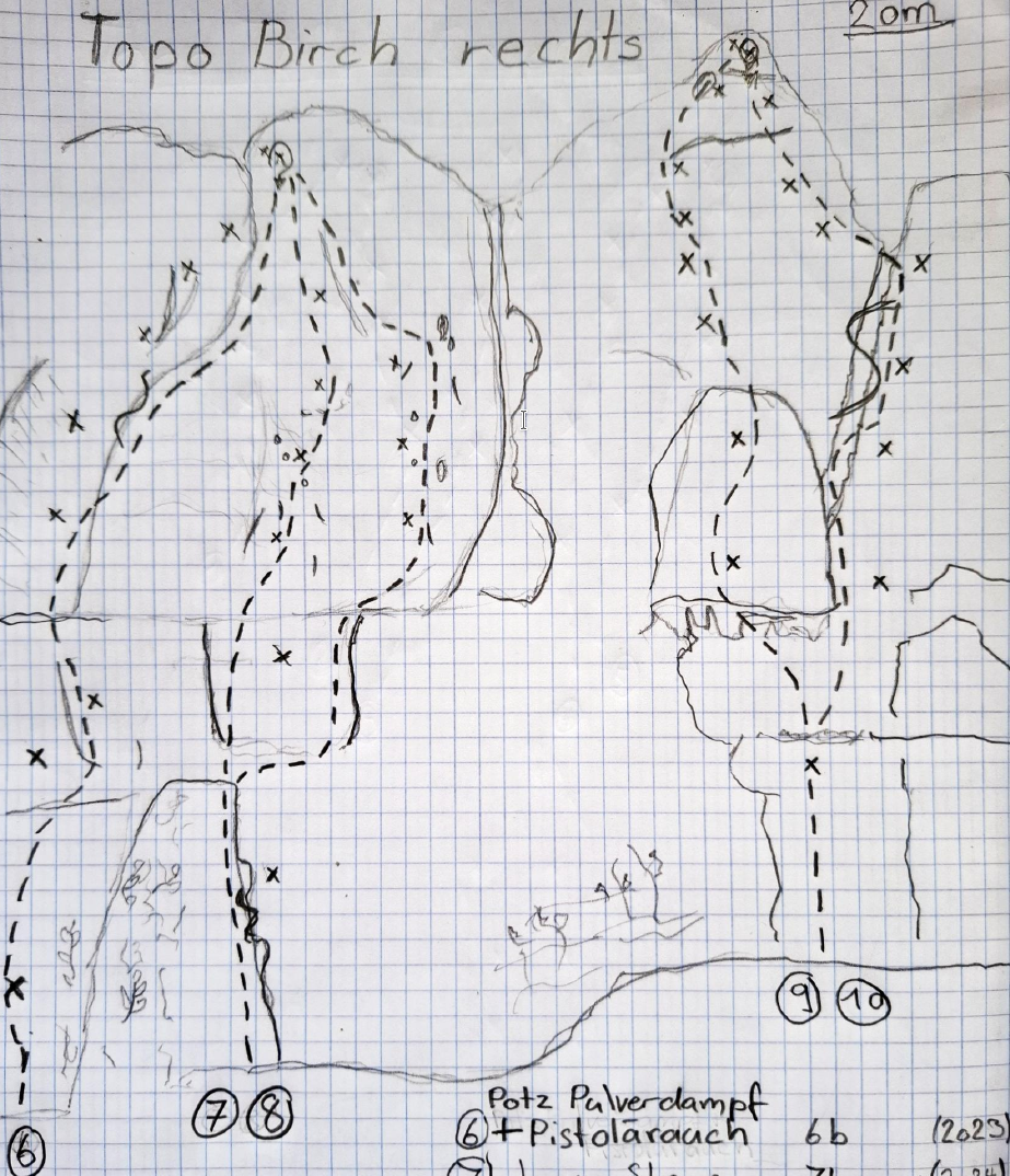 Birch Rechts Image
